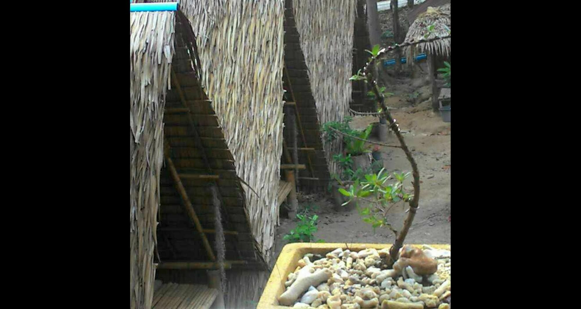 Lipe Camping Zone Buitenkant foto
